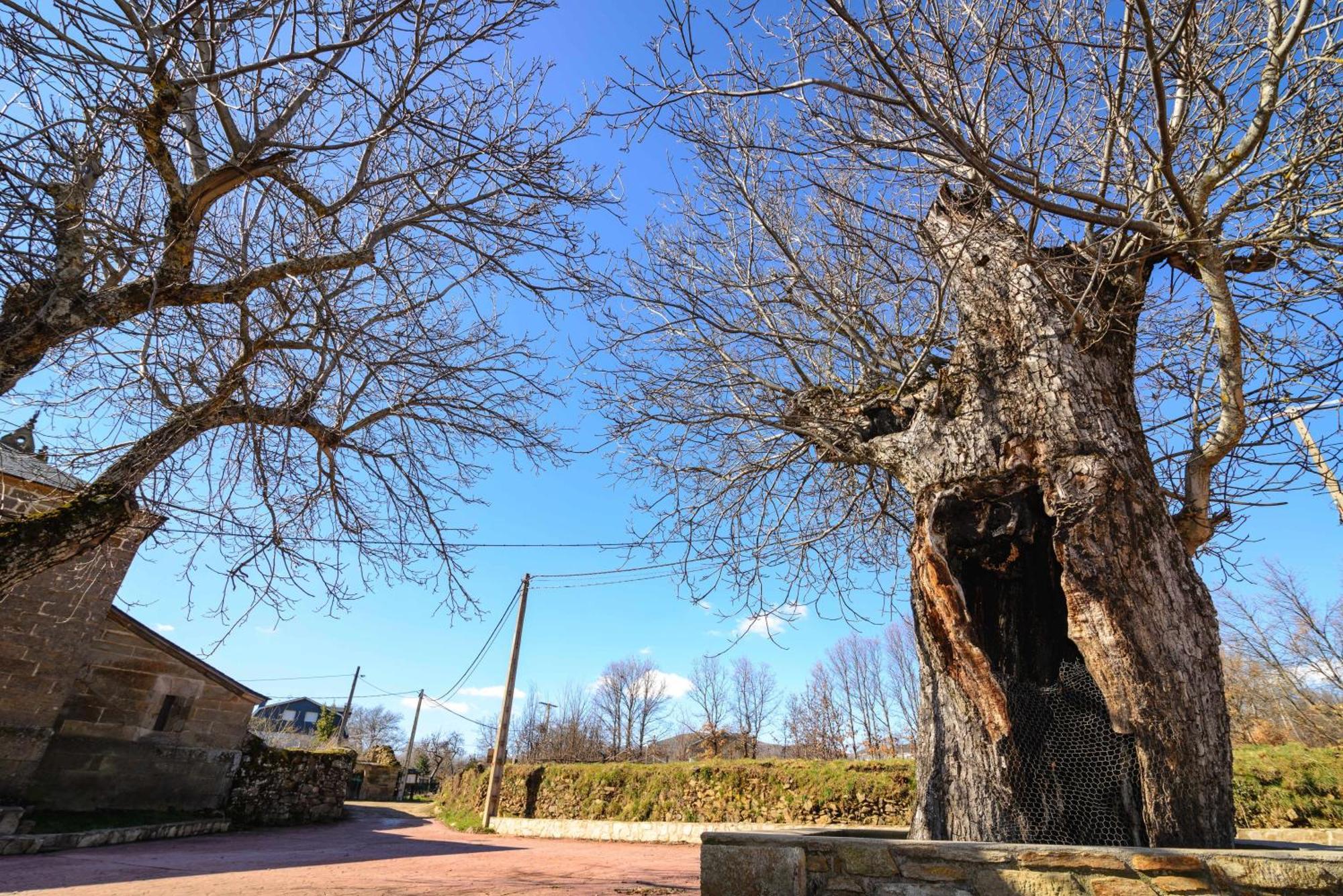 Casas Rurales San Justo Εξωτερικό φωτογραφία